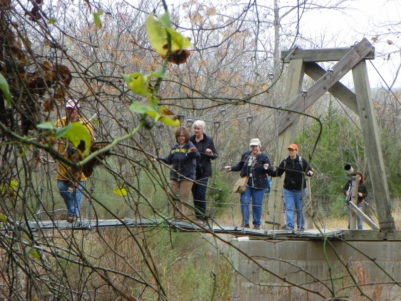 100_3591 (800x600).jpg - TLAS birders photographed by Elaine Horton